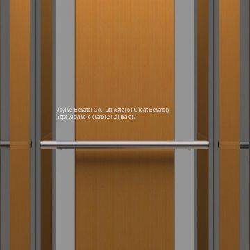 Home Elevator - Joylive Elevator Co., Ltd. photo-4
