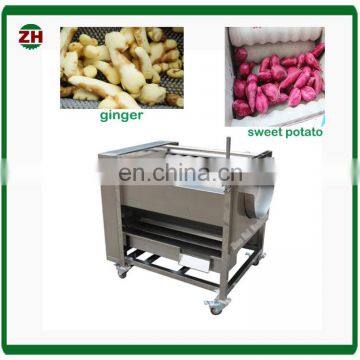 Professional Potato and Carrot Brush Washing Peeling Machine Potato Peeling Machine photo-5