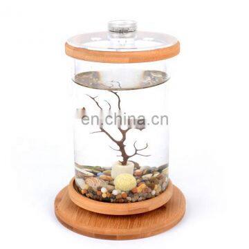 Desktop Eco Bottle Creative Office Tempered Glass Micro Landscape Tank Rotating Bedroom Fish Tank Fish Tank Mini Small photo-6