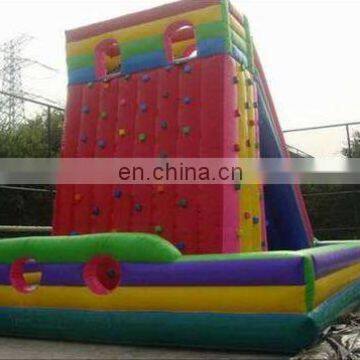Inflatable Climbing Wall With Slide for Sale photo-4