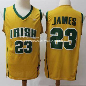 St.Vincent-St.Mary Fighting Irish #23 James Yellow Jersey