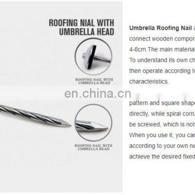 Galvanized Umbrella Head Roofing Nails With Smooth/Twist Shank by Low Price photo-4