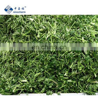 Sinocharm BRC A approved Fresh 5cm IQF Frozen Coriander Cut