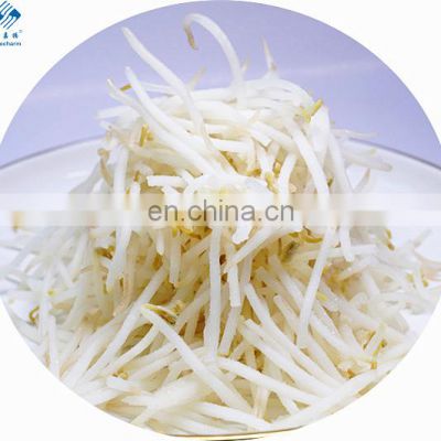 Hot Selling IQF Frozen Organic Green Mung Bean Sprout