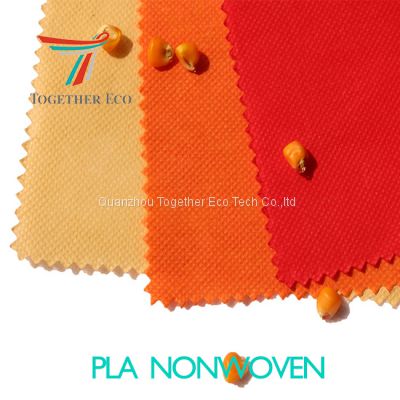 China Manufacturer 100% Biodegradable Colourful Disposable Medical Pla Nonwoven Fabric