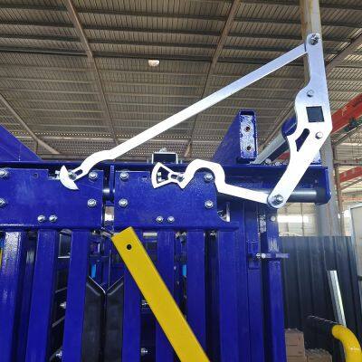 Customized Design Galvanized Steel Heave Duty Cattle Crush With Weighing Scale System photo-5