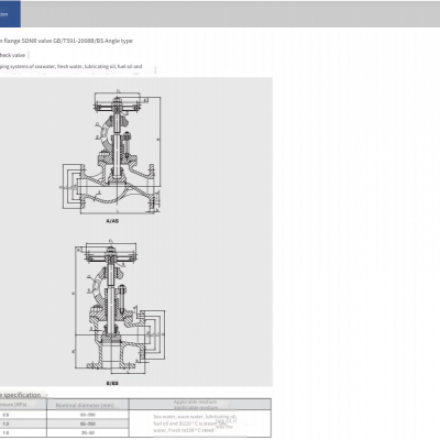 Marine Cast Iron Flange Sdnr Angle Valve Gb/t591 - 2008 B/bs With Ccs Classification Society Certificate