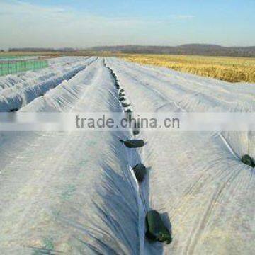 PP agriculture non-woven crop cover