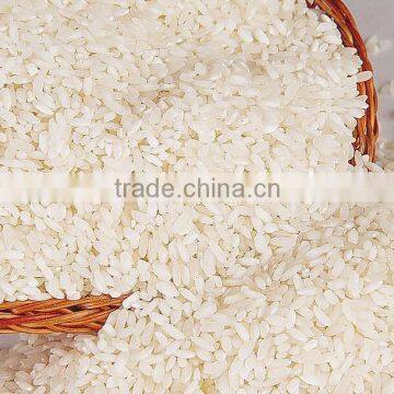HOT SELLING SB-10D RICE MILL photo-4