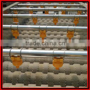 Automatic Brush Date Cleaning Machine|Ginger Washer and Cleaner Machine photo-4