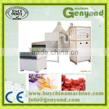 vacuum dryer equipment/machine for fruit/vegetable