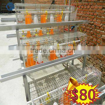 automatic broiler poultry farm equipment