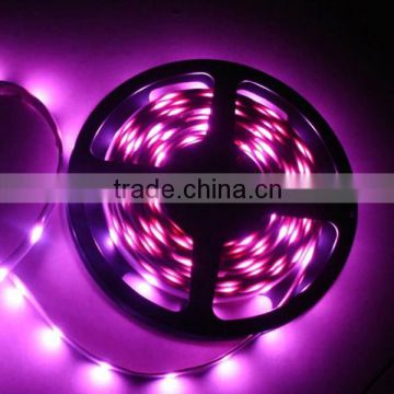 China manufacturer OEM 5050 led strip light