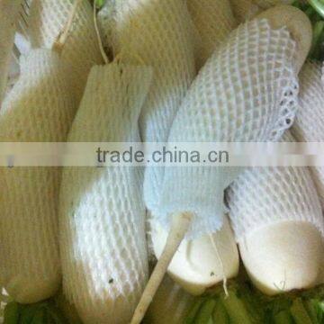 Sell 2014 new crop fresh radish from Brother Kingdom