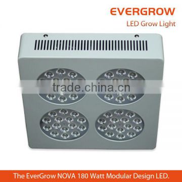 Evergrow NOVA S4 energy saving new sol led grow lights