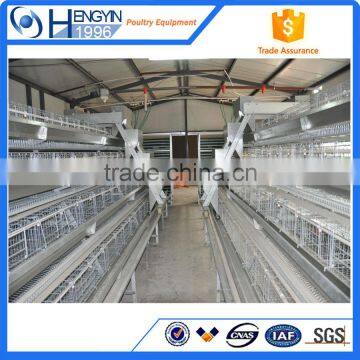 farm using chicken layer cage