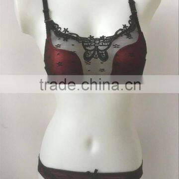 Ladies Sexy Net Bra Sets Hot Sale Underwear Photos