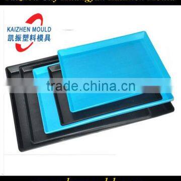 Plastic pet pallet mould,plastic pallet mould for pet cage