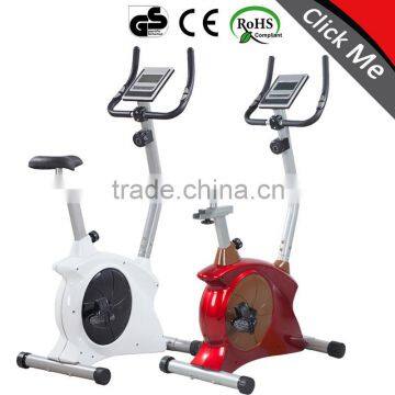 xiamen 2014 magnetic bike 6.5A