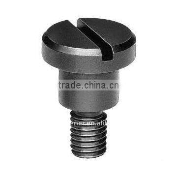 china screw (Made in China)