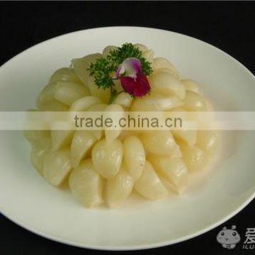 Chinese supplier best price aged garlic extract