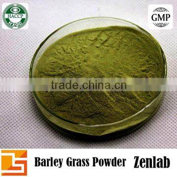 High Quality Barley Grass Juice P.E.