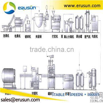 Fruit Juice Hot Filling 3-In-1 Machine photo-6