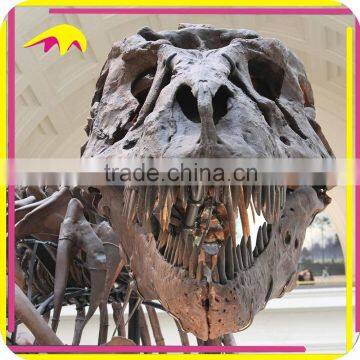 KANO5209 Life Size Fiberglass Dinosaur T-Rex Skeleton For Sale