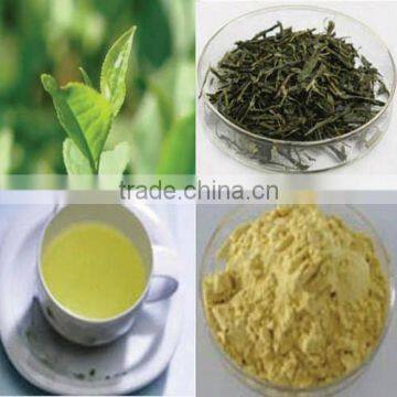 Instant Green Tea Powder,100% soluble in room temperature water