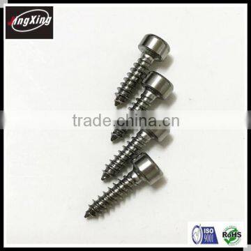 Stainless Steel Hex Socket Cap Head Self Tapping Screw