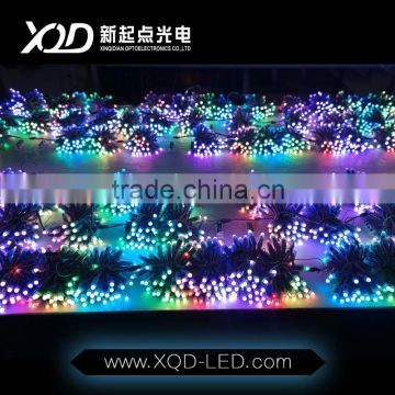 LED String Lights ws2811 LED on a Flexible Copper Wire LED String Light with 50 Individual