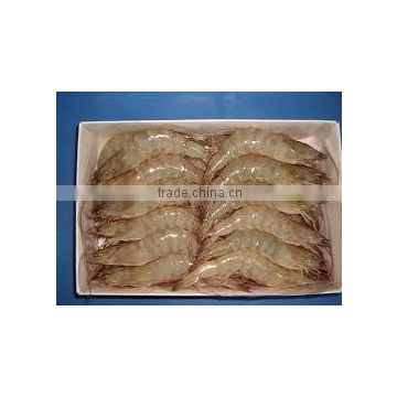 Frozen black tiger shrimp and vannamei shrimps