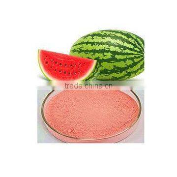 Spray Dried Watermelon Powder