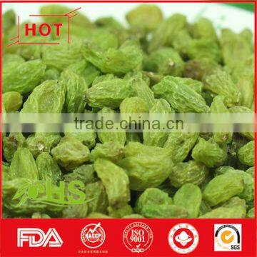 Various type of organic sweet raisins from China