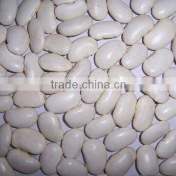 2014 Chinese White Kidney Bean With Cheap Price photo-4