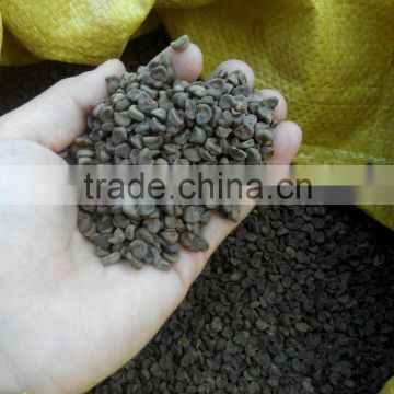 Hibiscus Seeds Roselle Seeds Chinese Flower Seeds For Planting