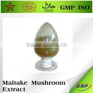 Food Supplement Maitake Mushroom Powder