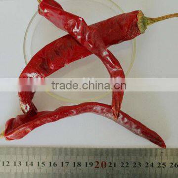 AD Dried Red Chilli HACCP/ GAP/FDA/HALAL photo-4