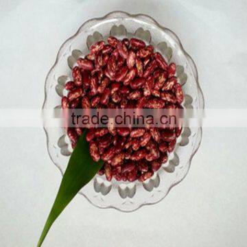 JSX wholesale black purple speckled kidney beans heilongjiang wholesale price purple speckled kidney bean