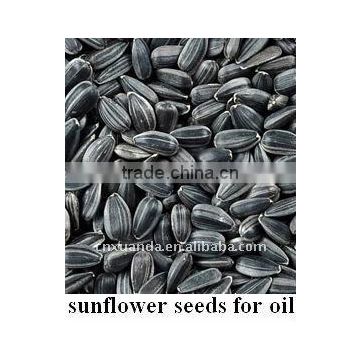 orginal Place sell SUNFLOWER SEEDS FOR MAKING OIL