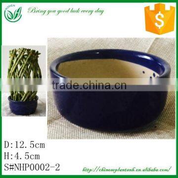 Lucky Bamboo Ceramic Flower Pot