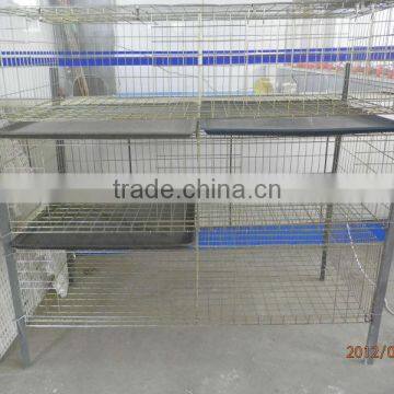 cage system for broiler