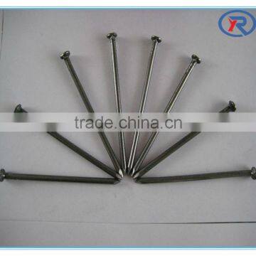 Cheap Price Building Common Wire Nail Construction Iron Nail photo-3