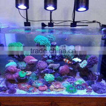 Anti-skidding Reef Aquarium Led With Price photo-3