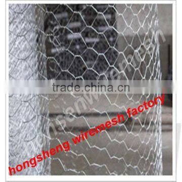 2013 Hot selling Chicken coop wire mesh 16-year factory