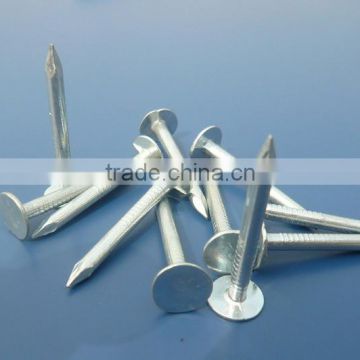 Iron wire nails flat head / big head nails