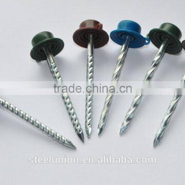 Roofing Nails With Plastic Cap photo-2