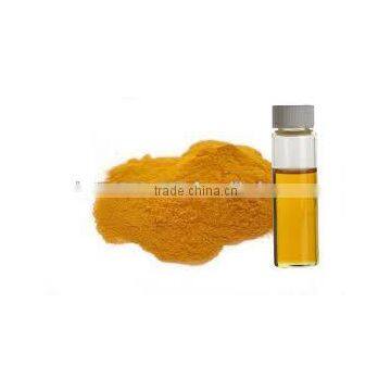 Turmeric Oil