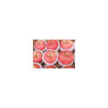 60mm - 65mm Fresh Fruit Fuji Red Apple , Health No Pesticide Residue
