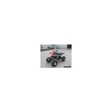 [China Brand Vehicle] EEC ATV